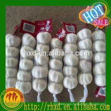8/9/10kg mesh bag white garlic price china garlic price